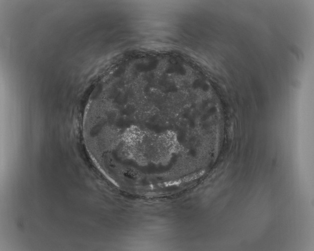 X0000113981397200910161612