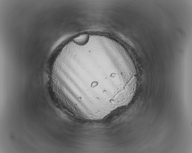 X0000113981400200910161612