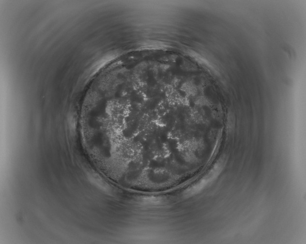 X0000113981401200910161612