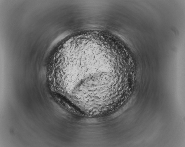 X0000113981402200910161612