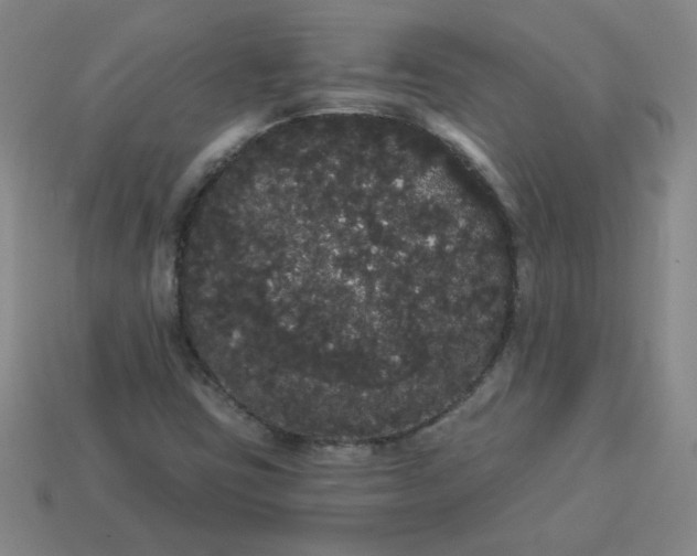 X0000113981403200910161612