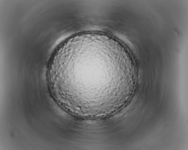 X0000113981404200910161612