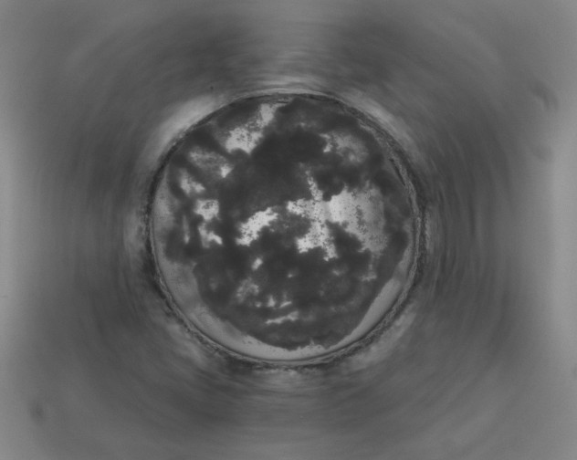 X0000113981405200910161612