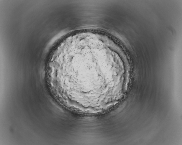 X0000113981406200910161612