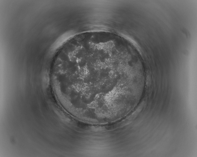 X0000113981407200910161612