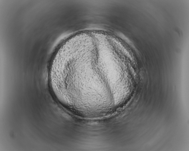 X0000113981408200910161612