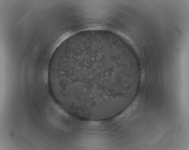 X0000113981409200910161612