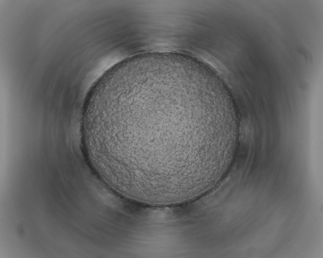 X0000113981410200910161612