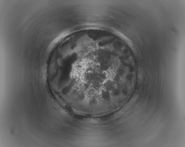 X0000113981411200910161612