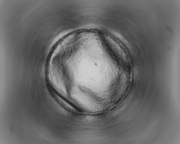 X0000113981412200910161612