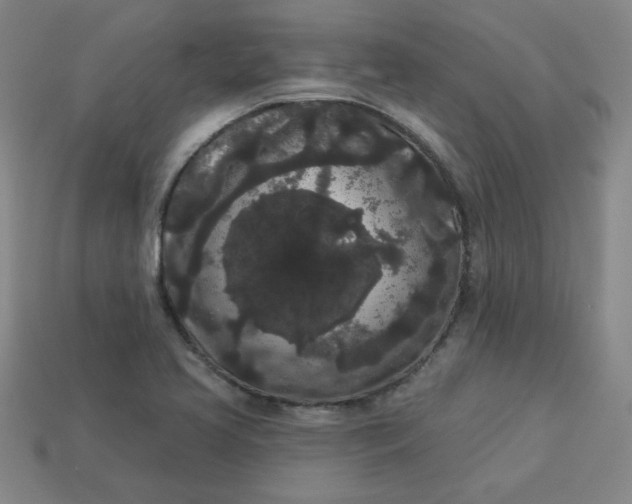 X0000113981413200910161612