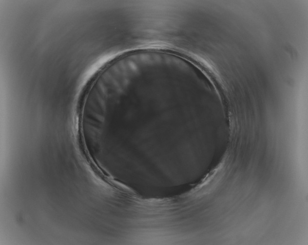 X0000113981414200910161612