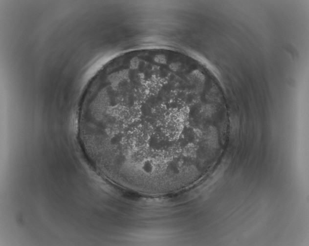 X0000113981415200910161612