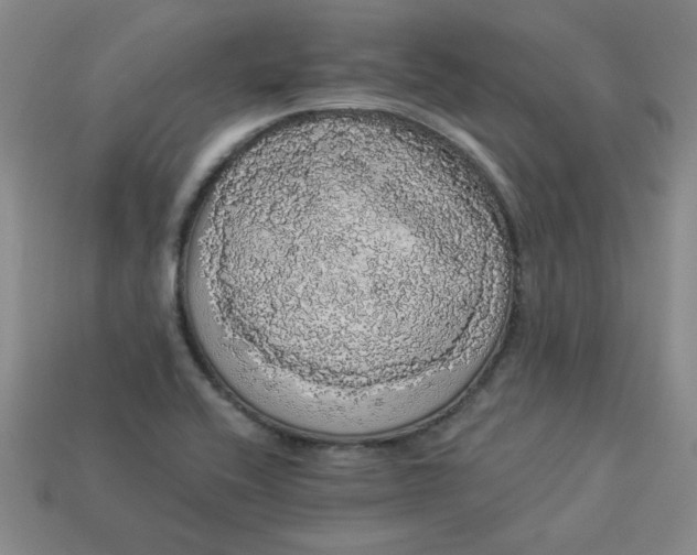 X0000113981416200910161612