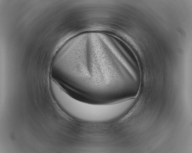 X0000113981417200910161612