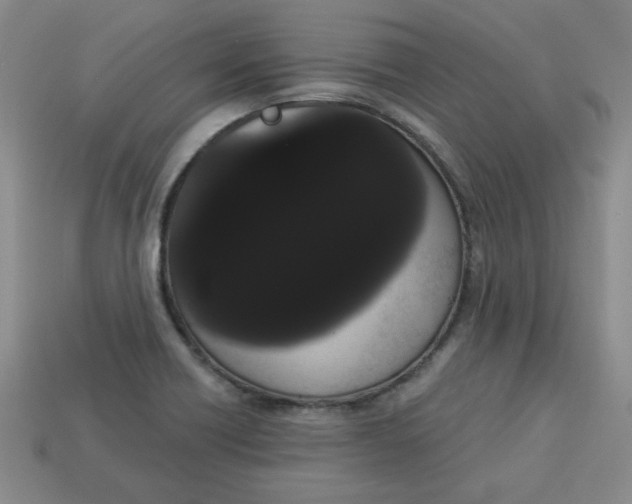 X0000113981418200910161612