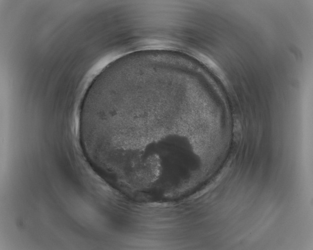 X0000113981419200910161612