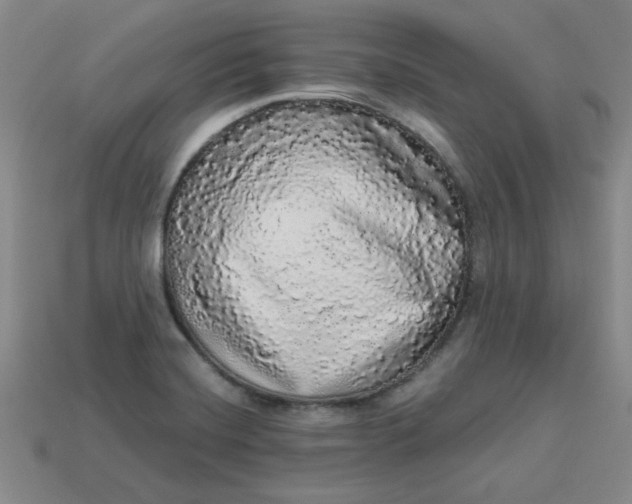 X0000113981420200910161612