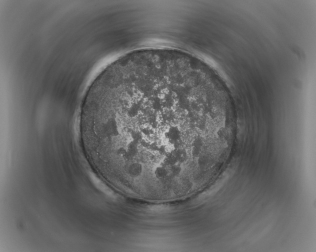 X0000113981421200910161612