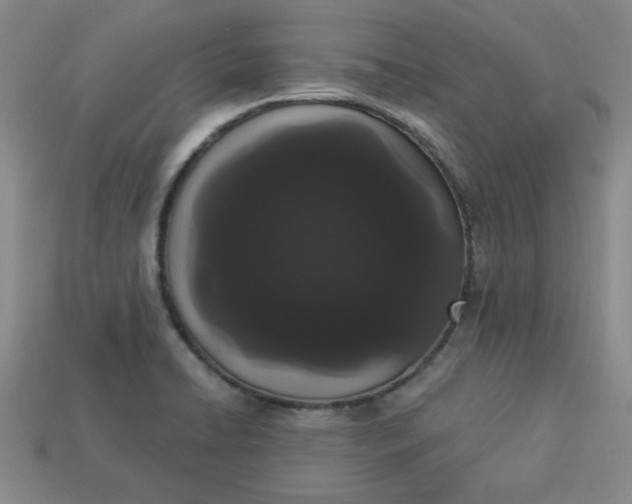 X0000113981422200910161612