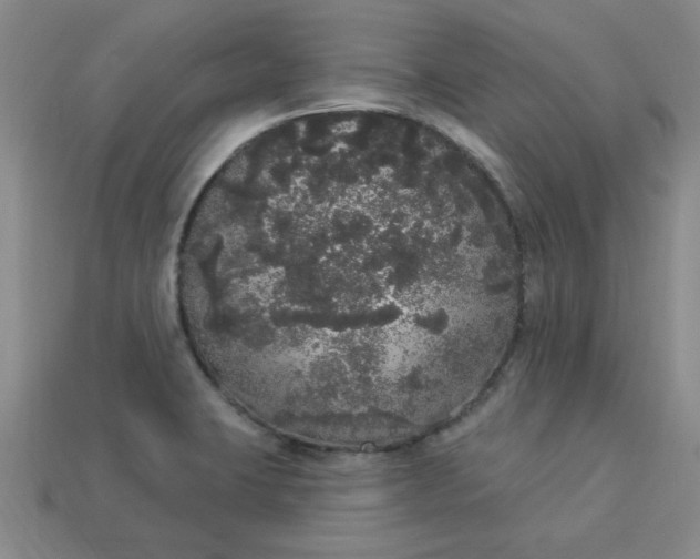 X0000113981423200910161612