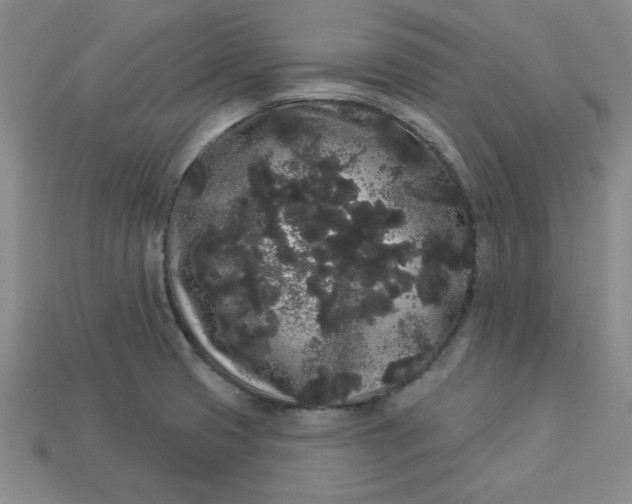 X0000113981425200910161612