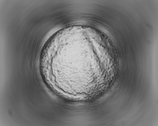 X0000113981426200910161612