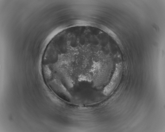 X0000113981427200910161612