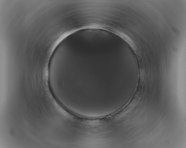 X0000113981428200910161612