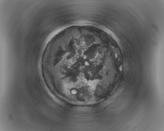 X0000113981429200910161612