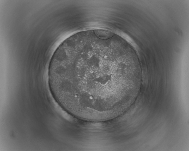 X0000113981431200910161612