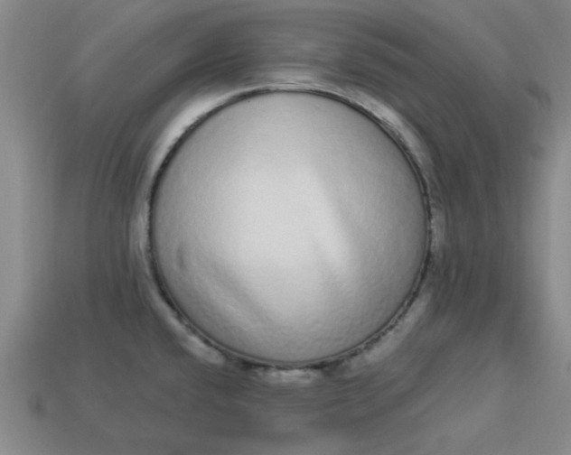 X0000113981432200910161612