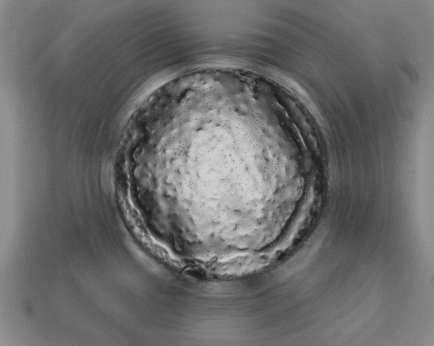 X0000113981433200910161612