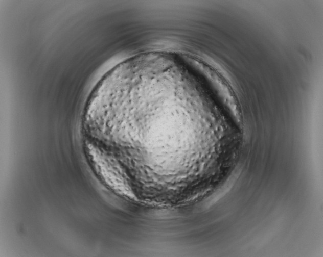 X0000113981434200910161612