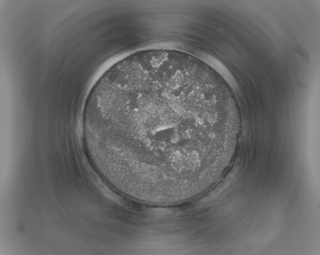 X0000113981436200910161612