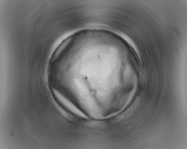 X0000113981437200910161612