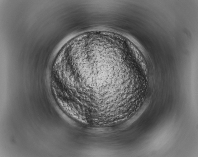 X0000113981438200910161612