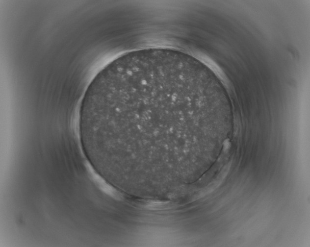 X0000113981439200910161612