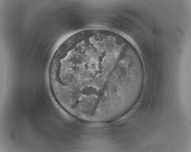 X0000113981440200910161612