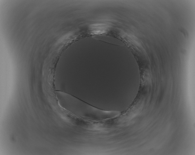 X0000113981441200910161612