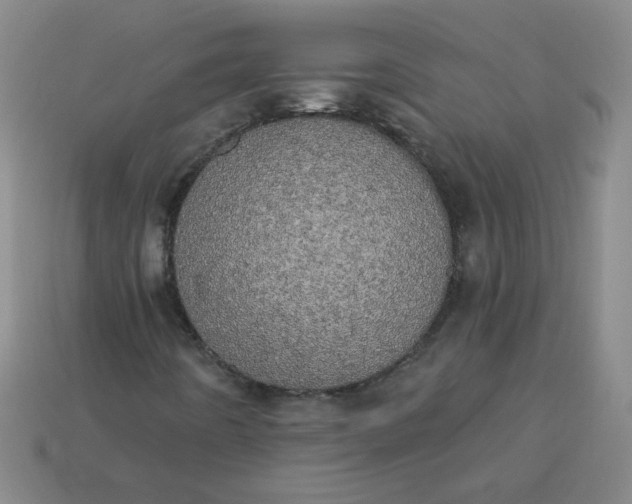 X0000113981442200910161611