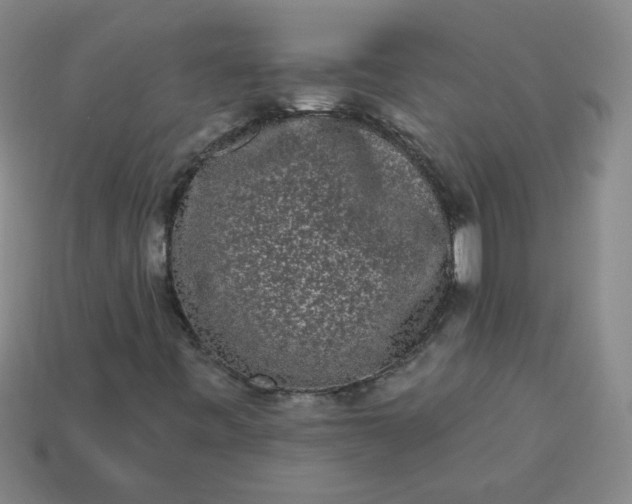 X0000113981443200910161611