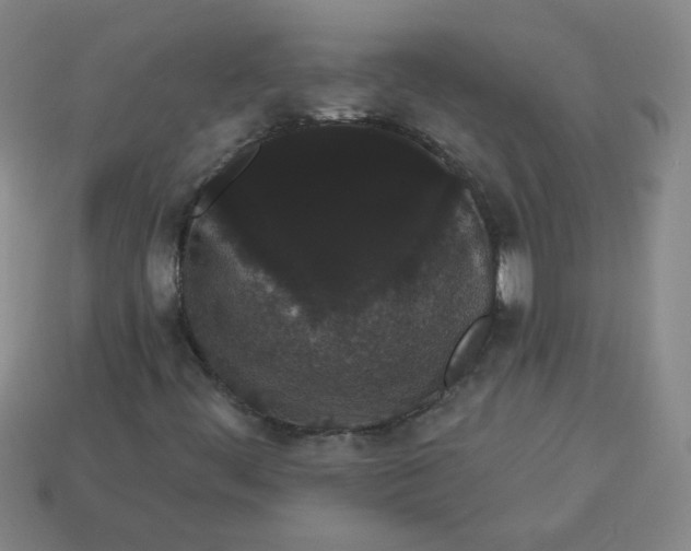 X0000113981444200910161611