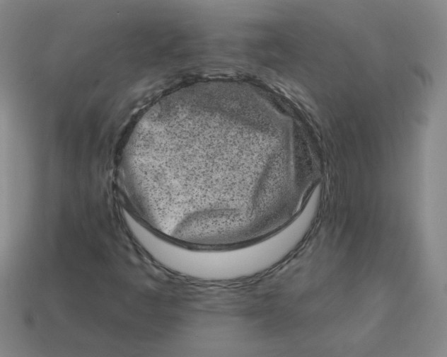 X0000113981445200910161611