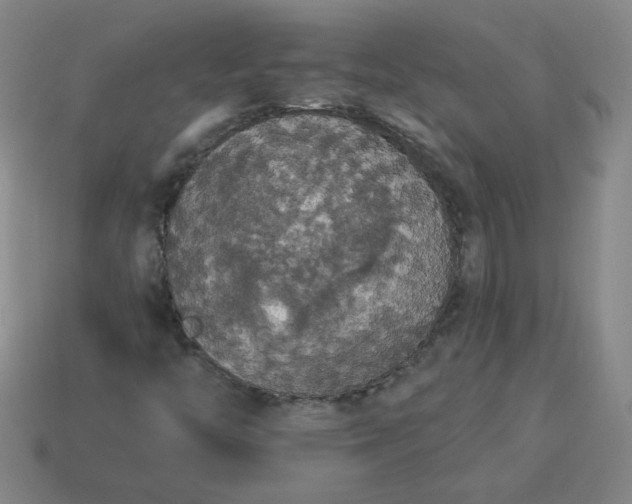 X0000113981446200910161611