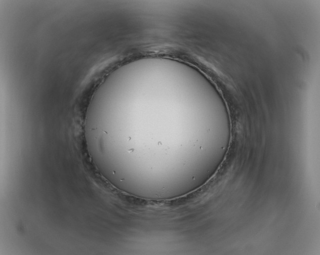 X0000113981447200910161611