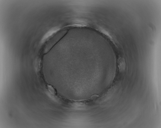 X0000113981448200910161611