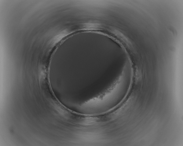 X0000113981449200910161611