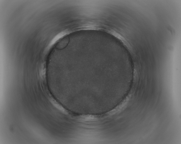 X0000113981450200910161611