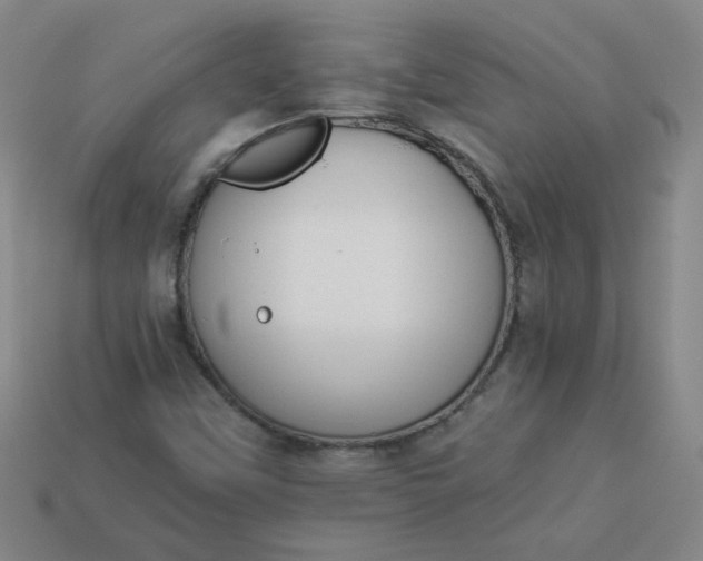 X0000113981451200910161611